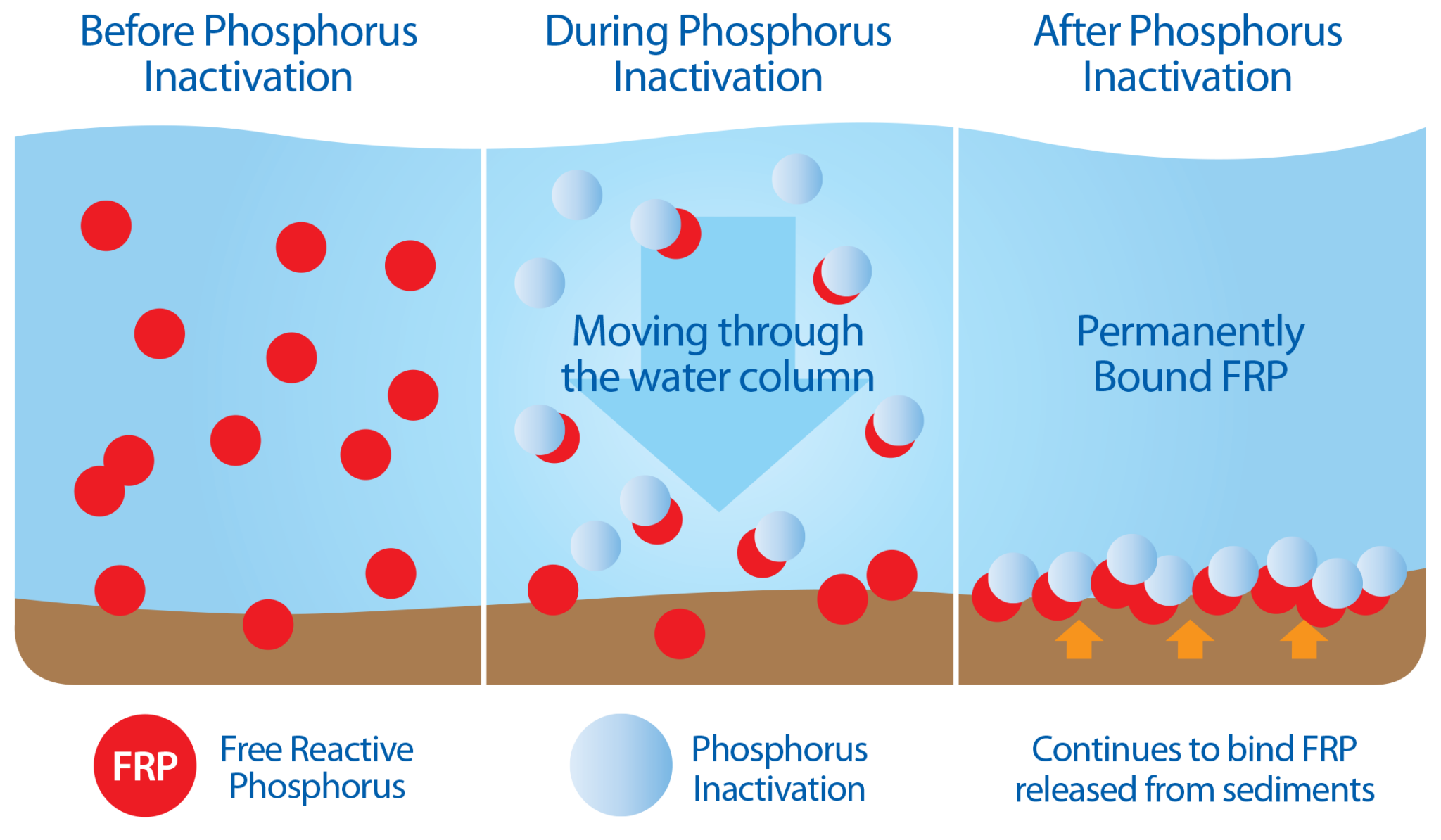 toxic-algae-removal-aquatechnex